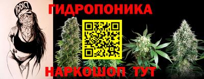 гашик Керчь