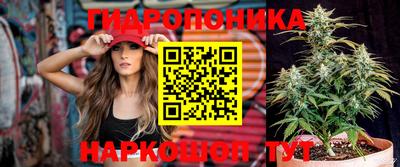 прущие грибы Кизляр