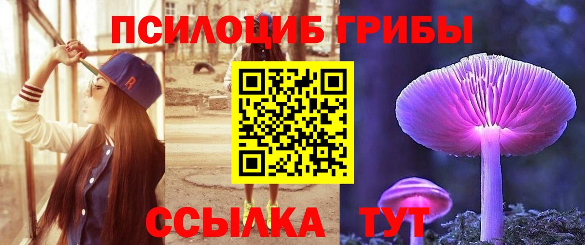 Псилоцибиновые грибы Psilocybine cubensis  Псилоцибиновые грибы прущие грибы  Вход с VPN  Минеральные Воды 
